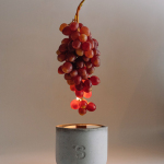 Свічка/Grape Sister's Aroma
