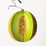 Aroma for home/Scented melon Sister's Aroma