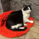 Individual Bed for Cats from the Best Plush Thread / Hand made by Polovchenko N.