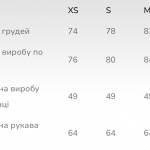 Сірий базовий лонгслів Тесі  STIMMA