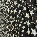 Pleated skirt with silver IMPERIAL stars
