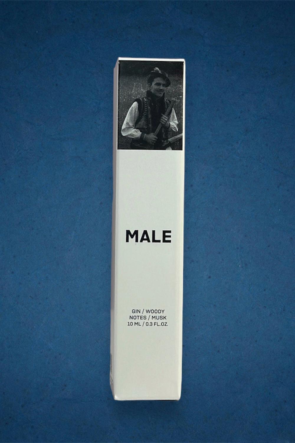 Men's perfume Sister's Aroma Male