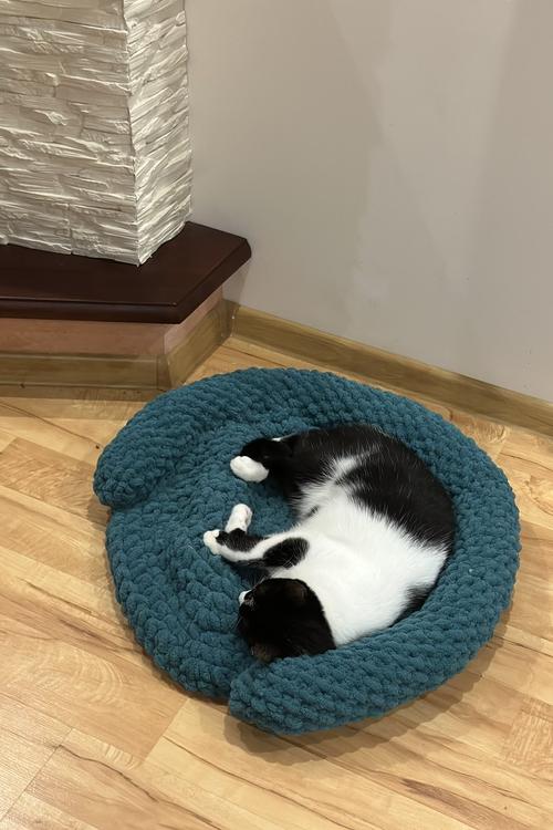 Individual Bed for Cats from the Best Plush Thread / Hand made by Polovchenko N.