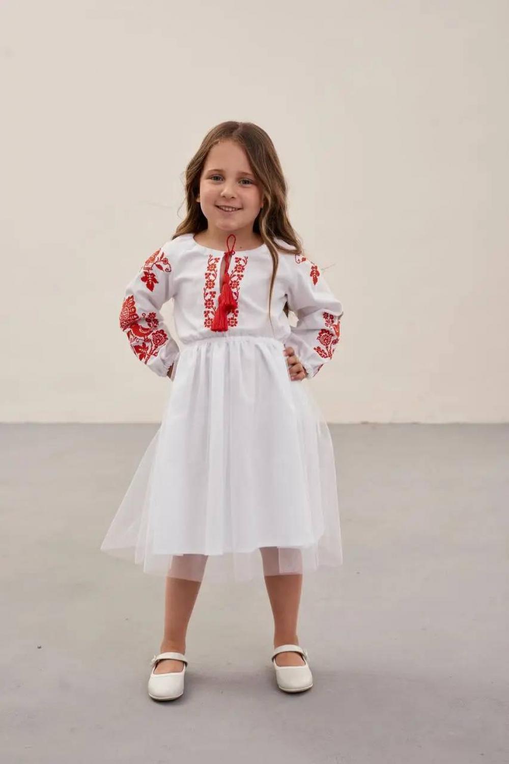 Embroidered dress for a girl Birds MEREZHKA
