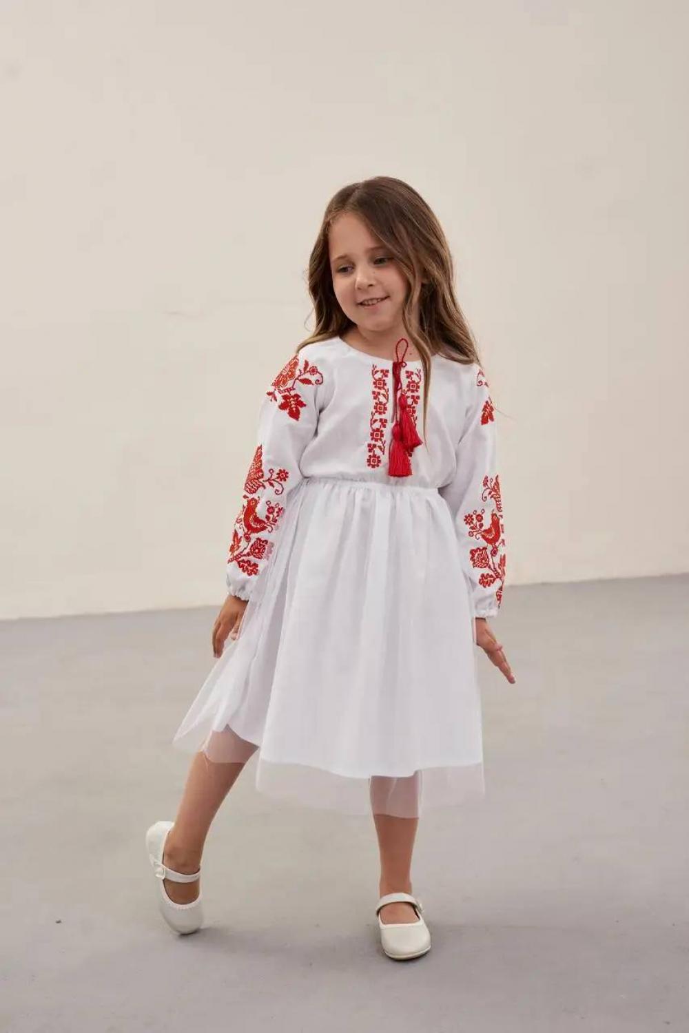 Embroidered dress for a girl Birds MEREZHKA
