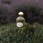 Citrus fresh perfume Kill me Softly by Bibliotheque de Parfum