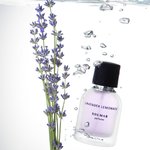 Парфум жіночий Solmar Lavender Lemonade