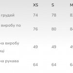 Сірий базовий лонгслів Тесі  STIMMA
