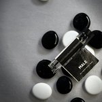 Парфум чоловічий Sister's Aroma Male
