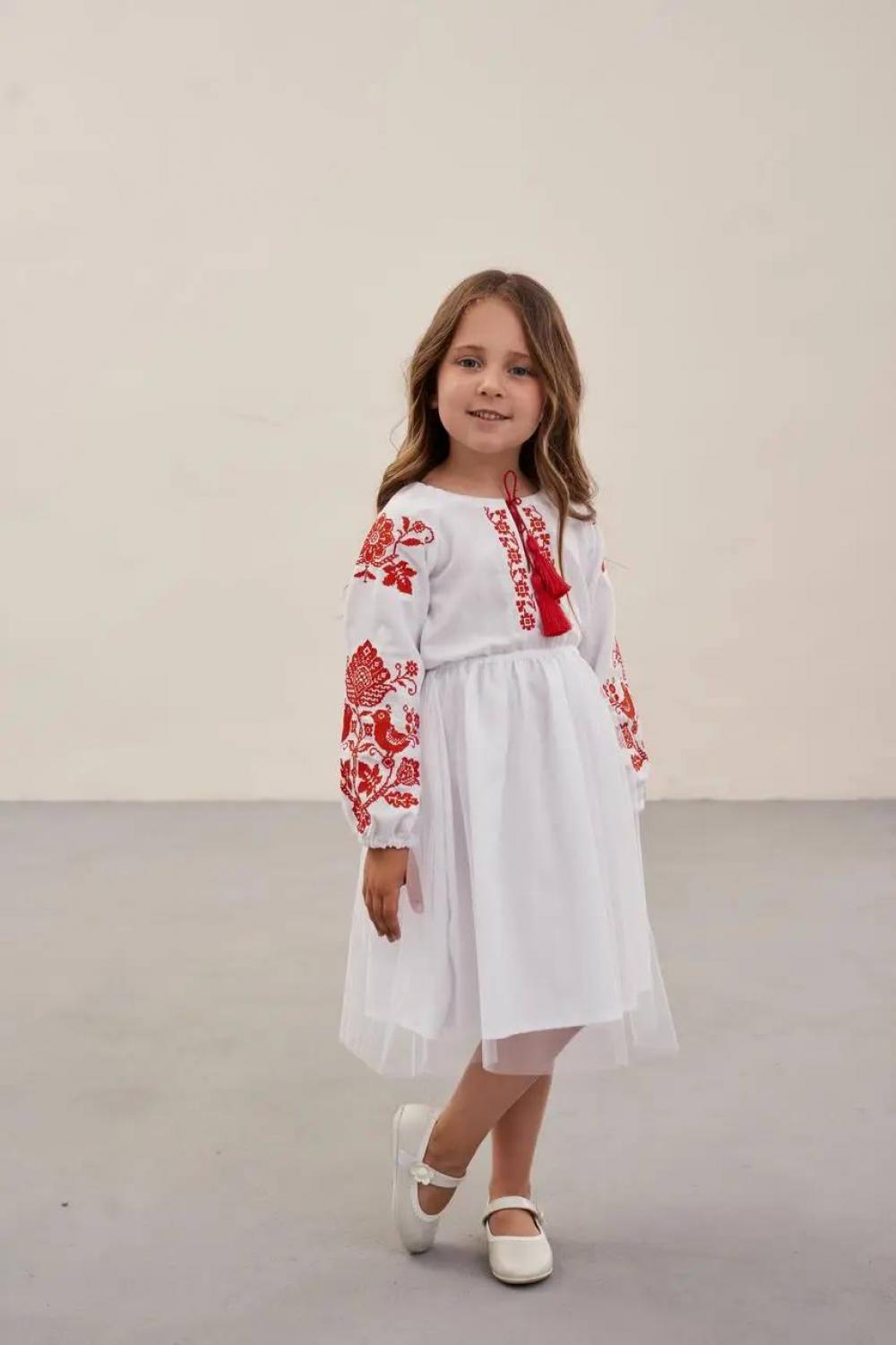 Embroidered dress for a girl Birds MEREZHKA