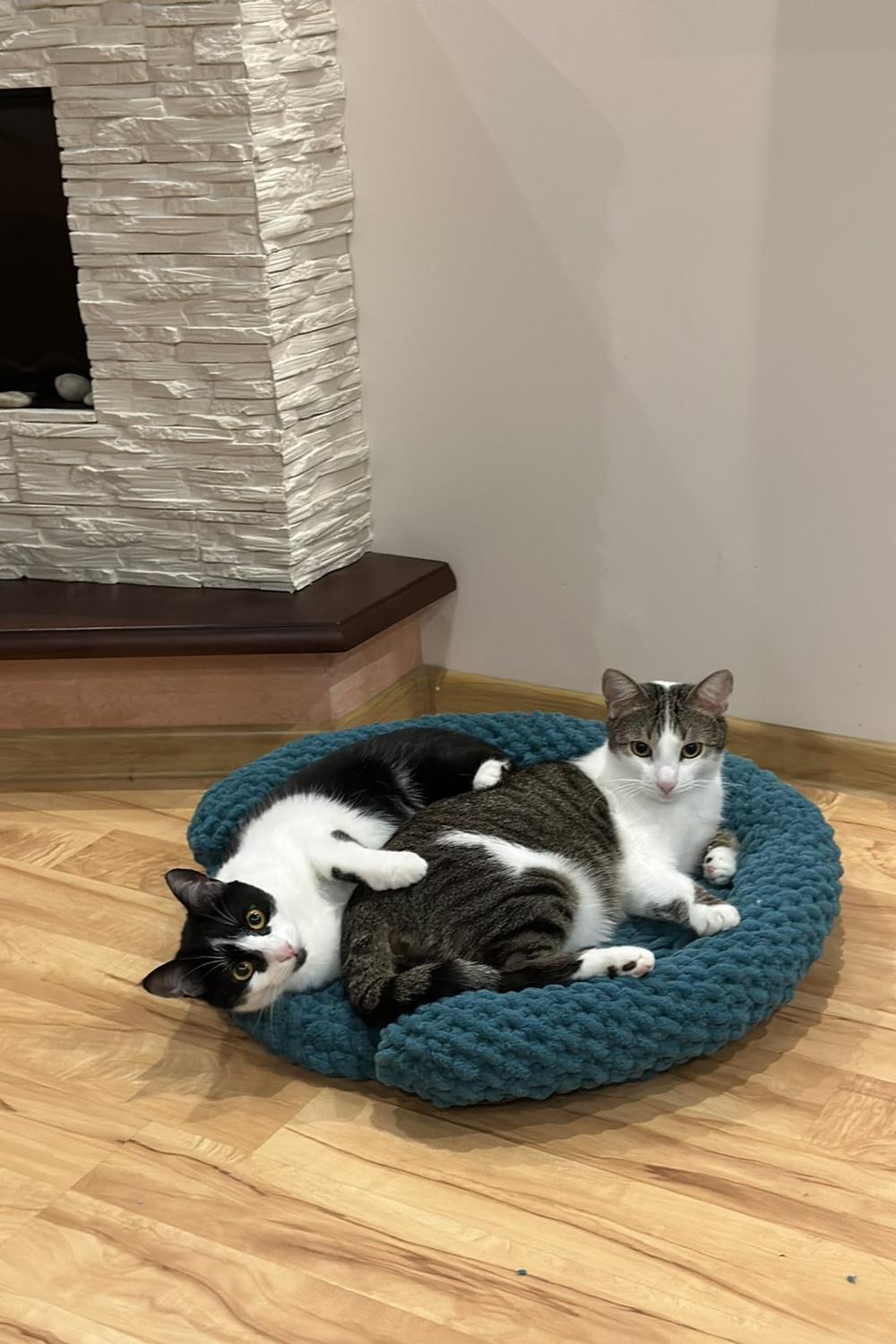 Individual Bed for Cats from the Best Plush Thread / Hand made by Polovchenko N.