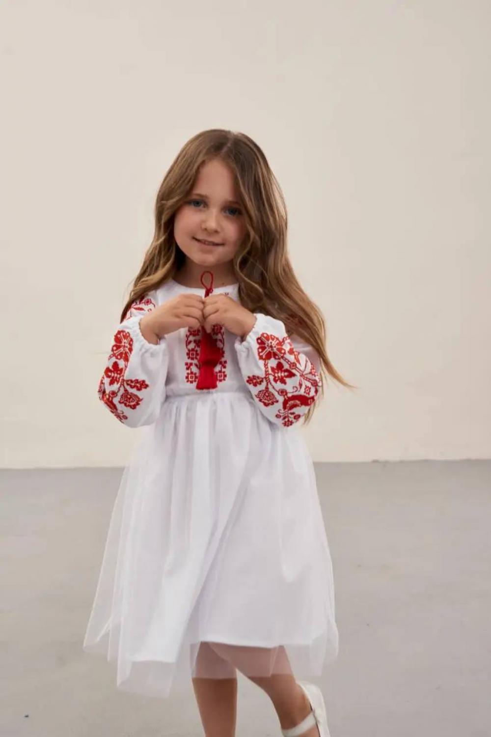 Embroidered dress for a girl Birds MEREZHKA