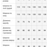 Vyshyvanka men's beige Mountains Svarga