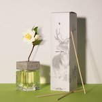 Fragrance for home | Jasmine and musk